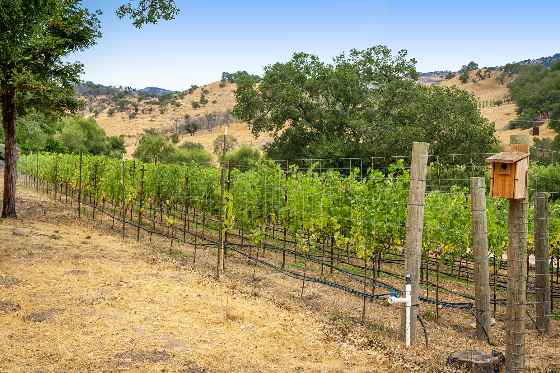 C04B - 14-DSC00789_EDITED