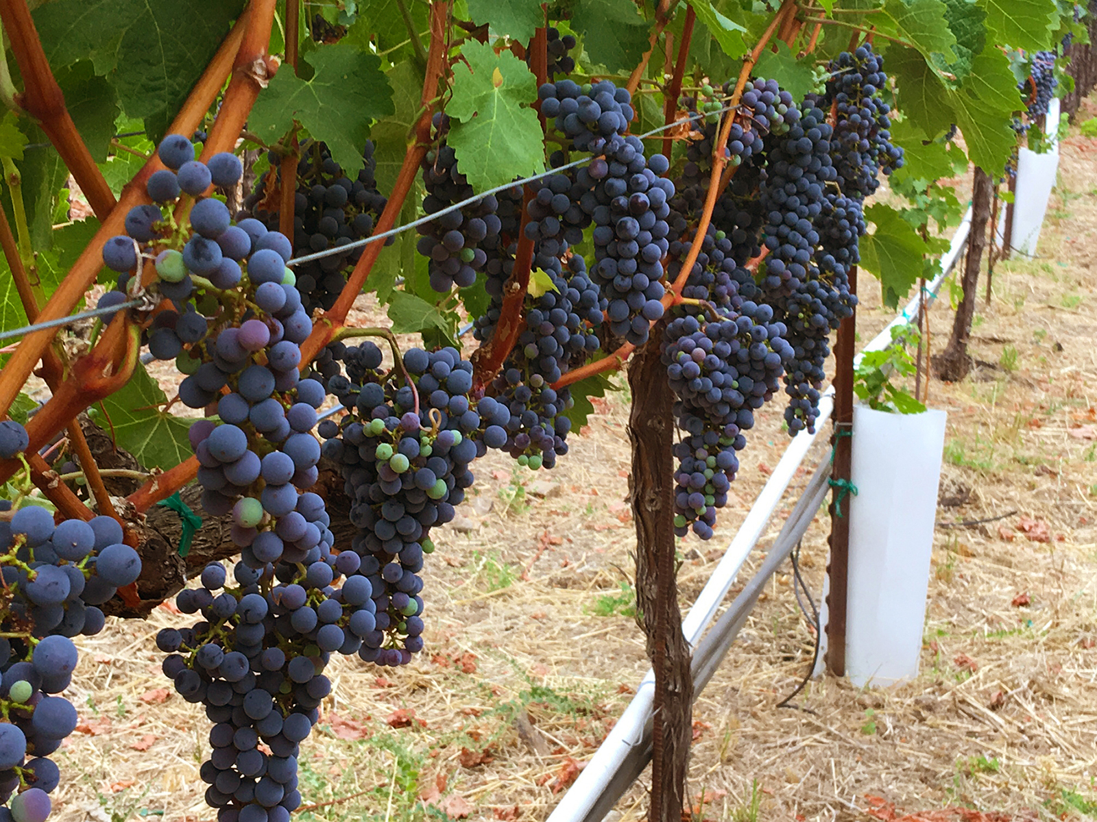 C04C - image001_EDITED