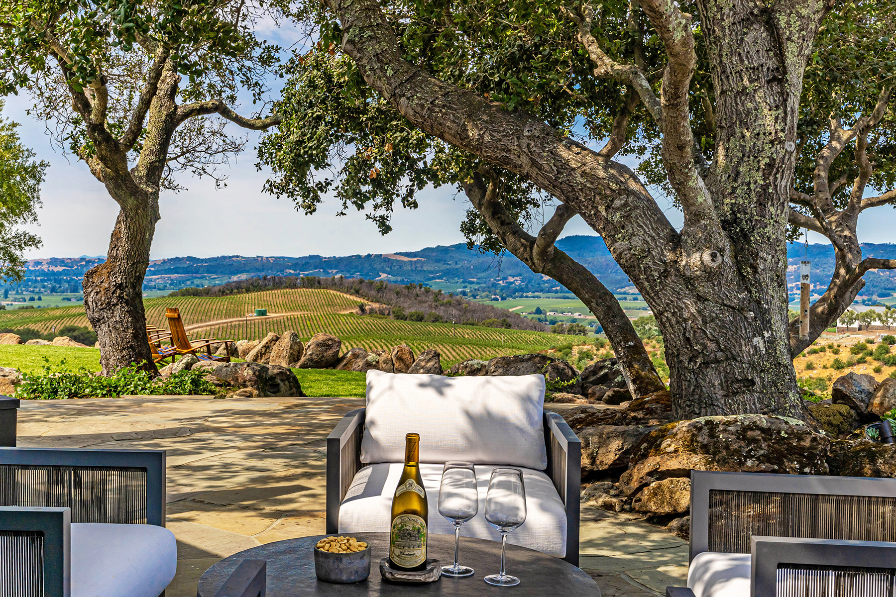 C08 - DSC03208_EDITED_CROPPED