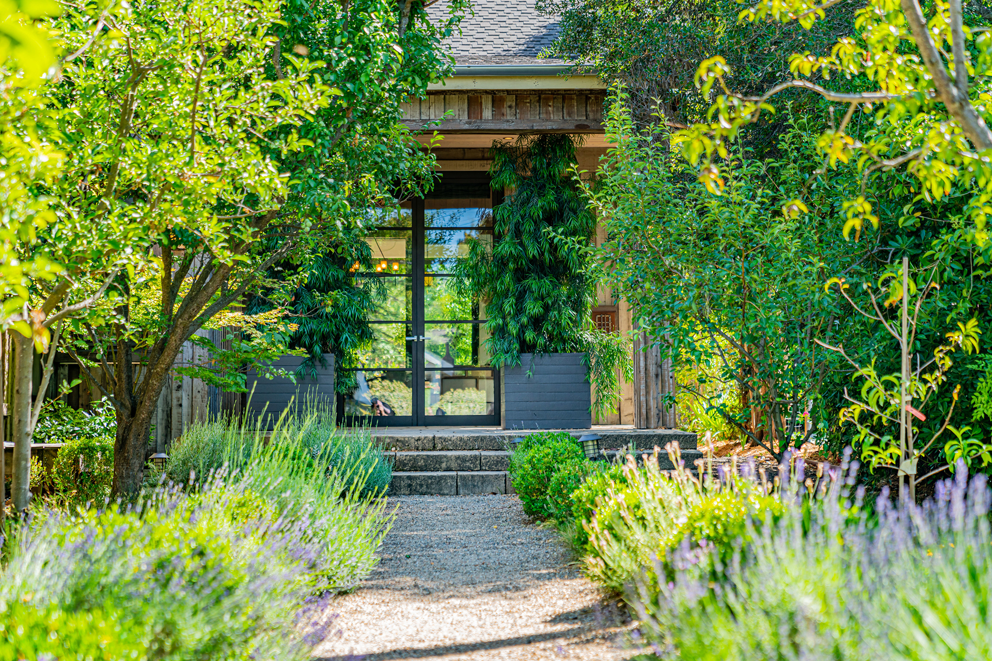 A03 - _DSC1642_EDITED2