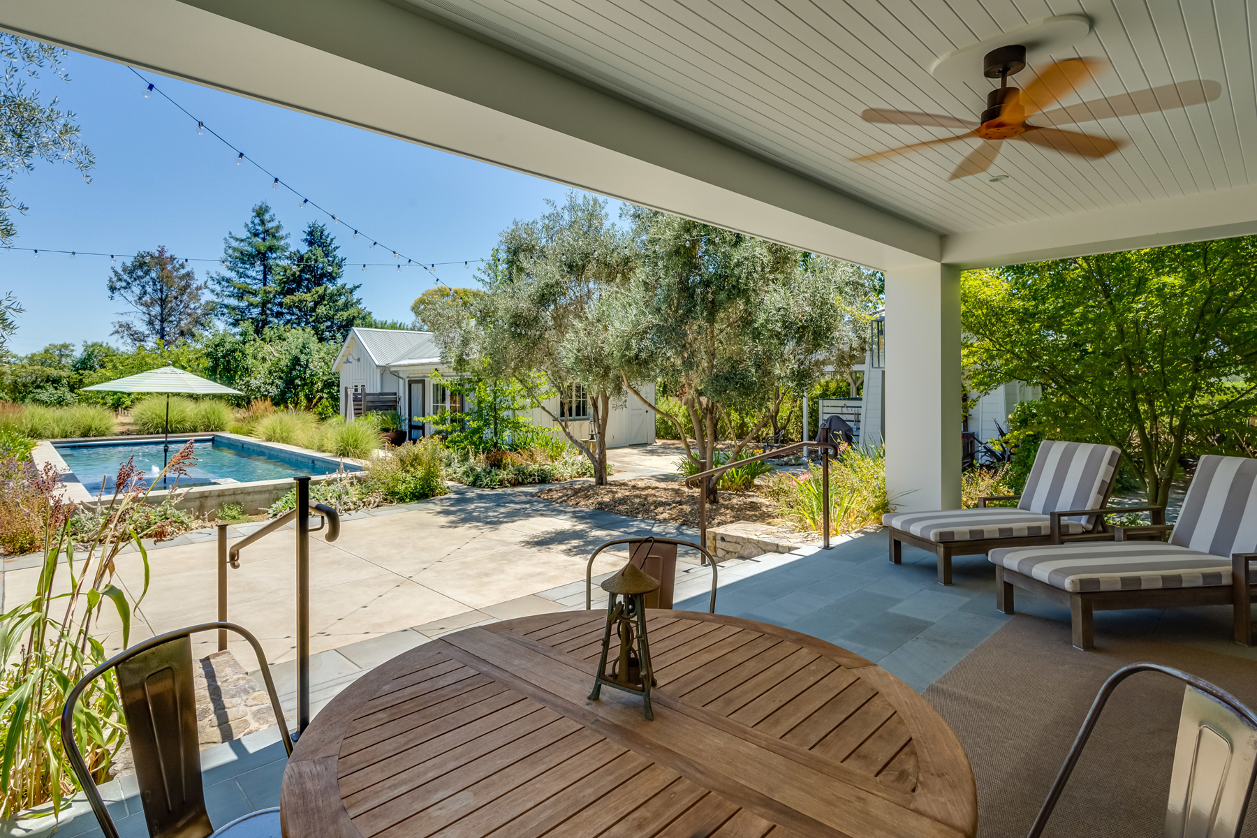 C01 - DSC00299_EDITED