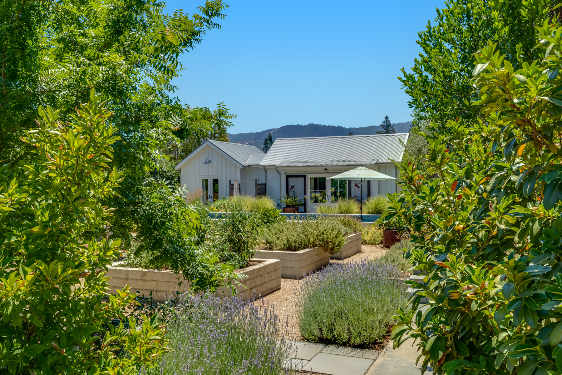 C02 - DSC00221_EDITED