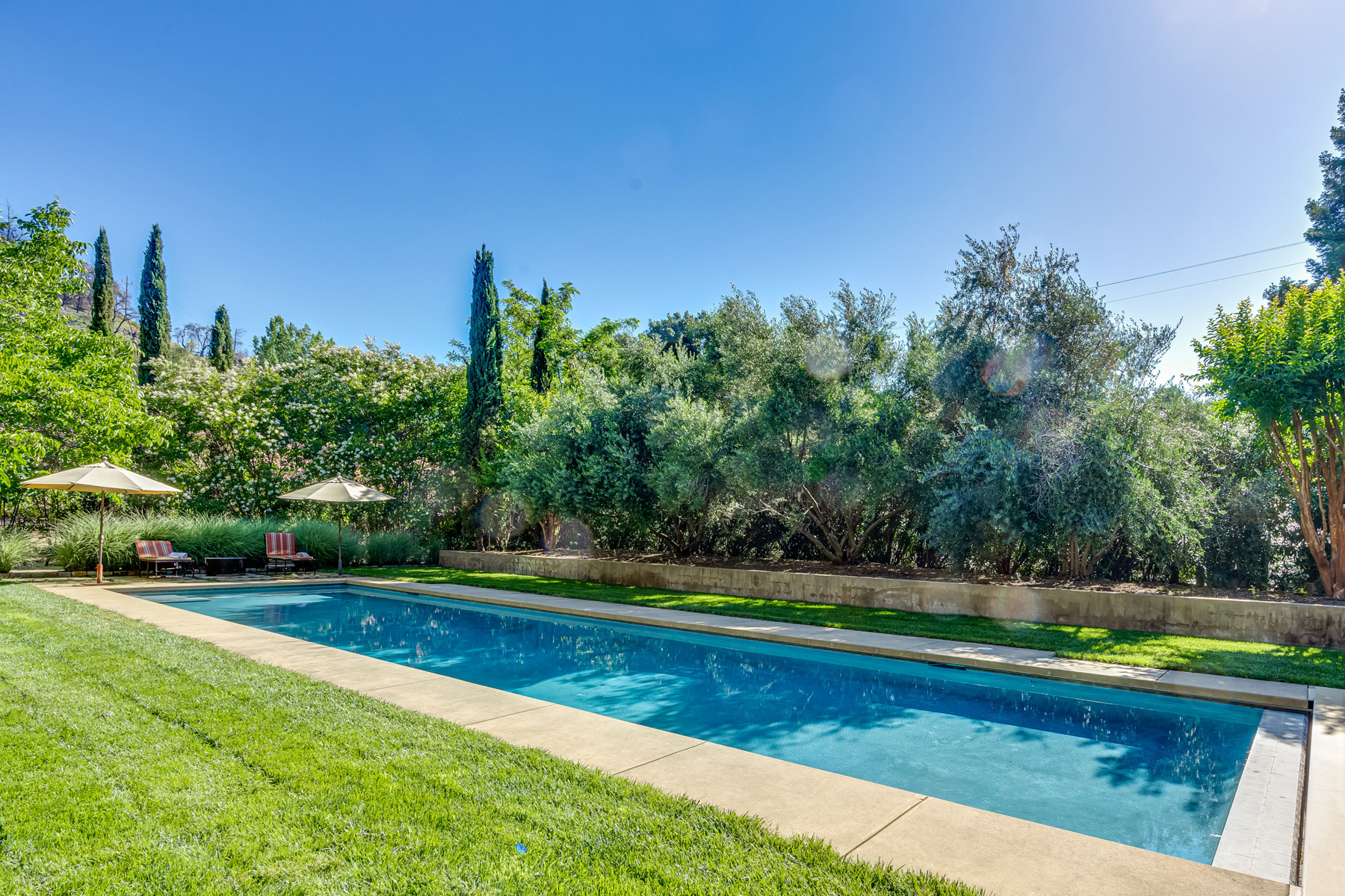 C05 - DSC05326CROPPED