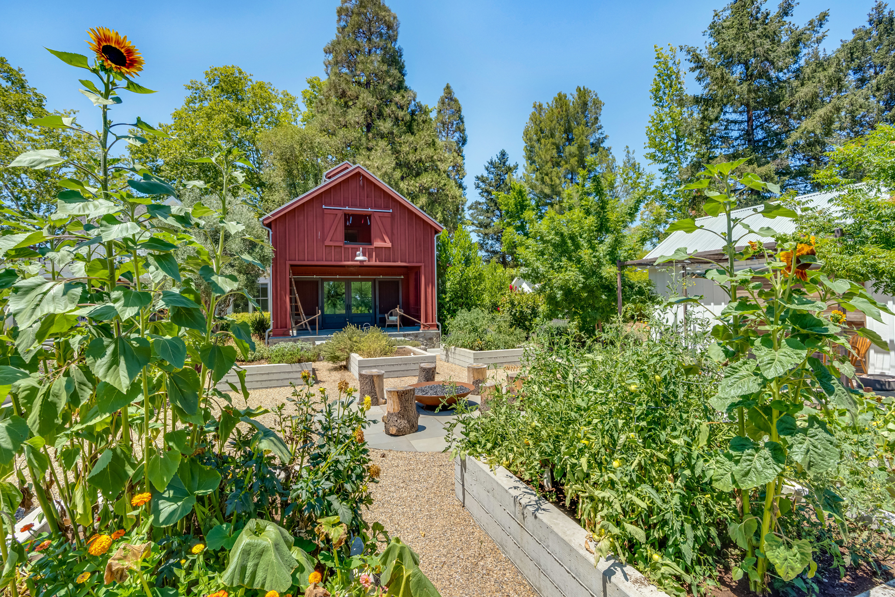 D05 - DSC00236_EDITED