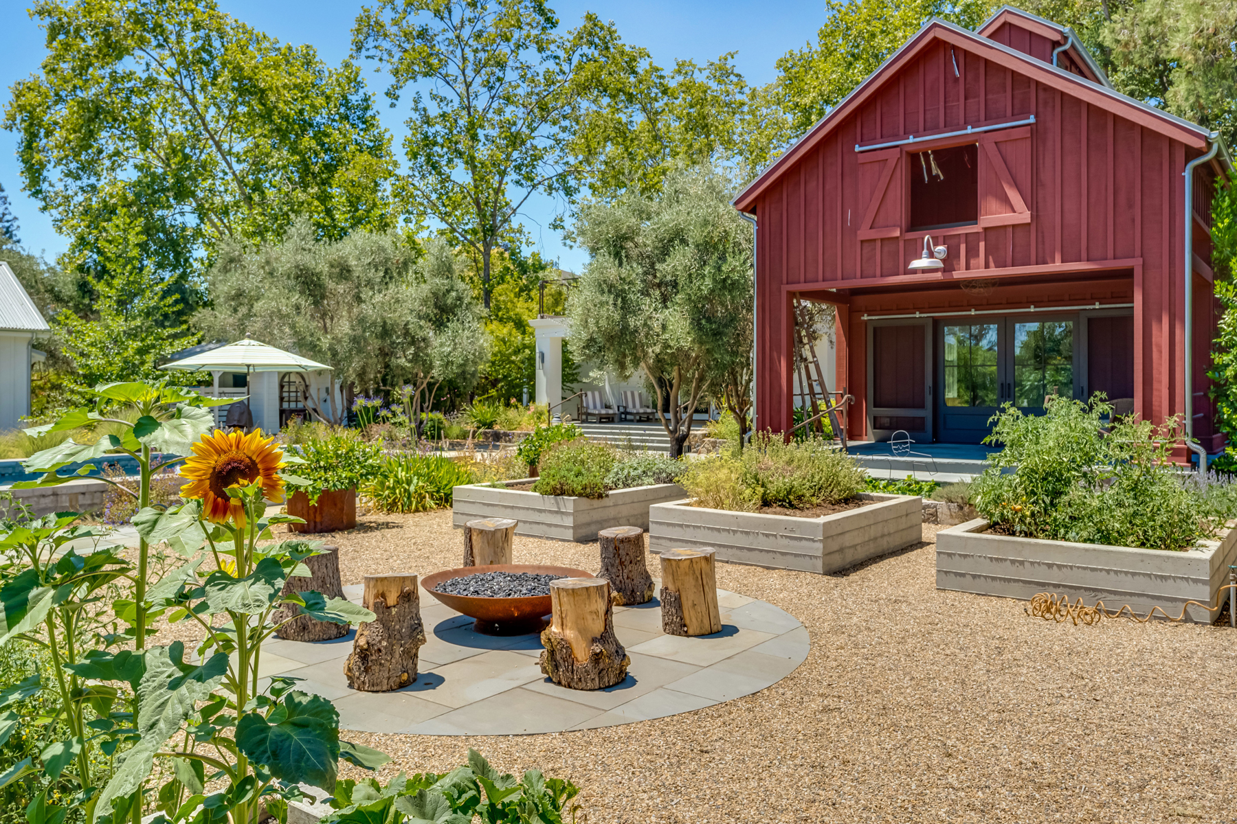 D06 - DSC00233_EDITED