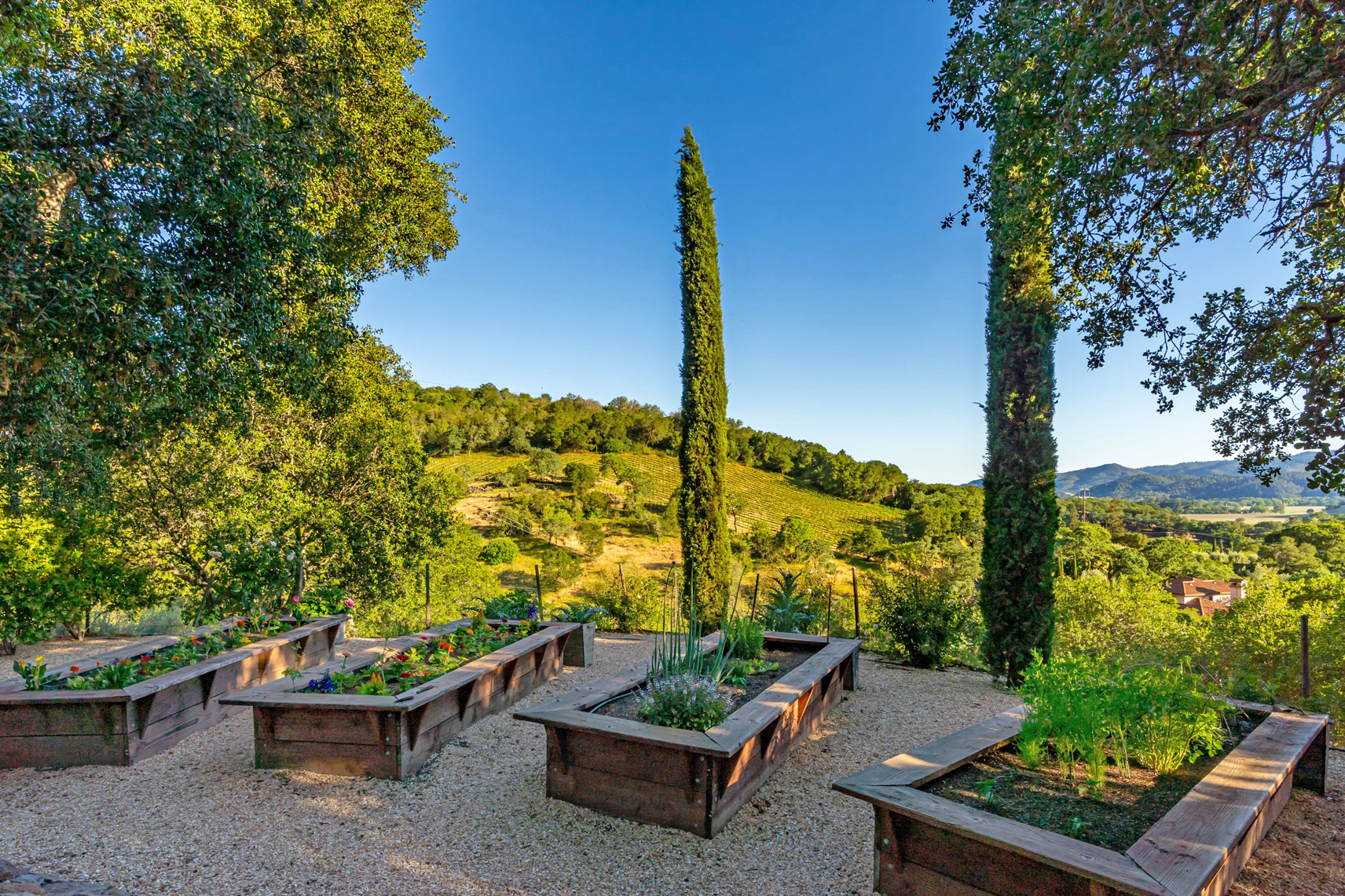 D11 - DSC08421_EDITED