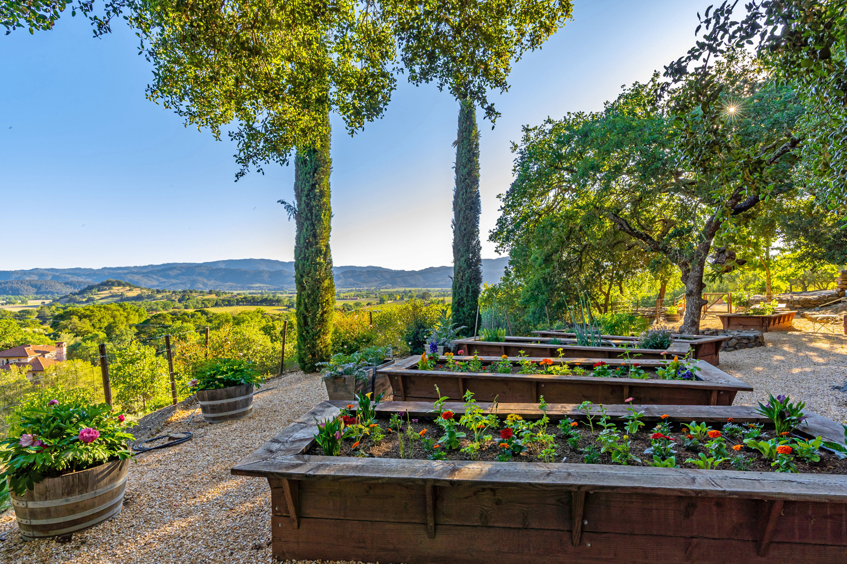 D12 - DSC08437_EDITED