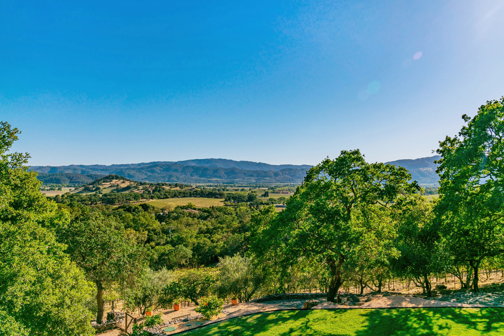 D25 - DSC1567_EDITED2