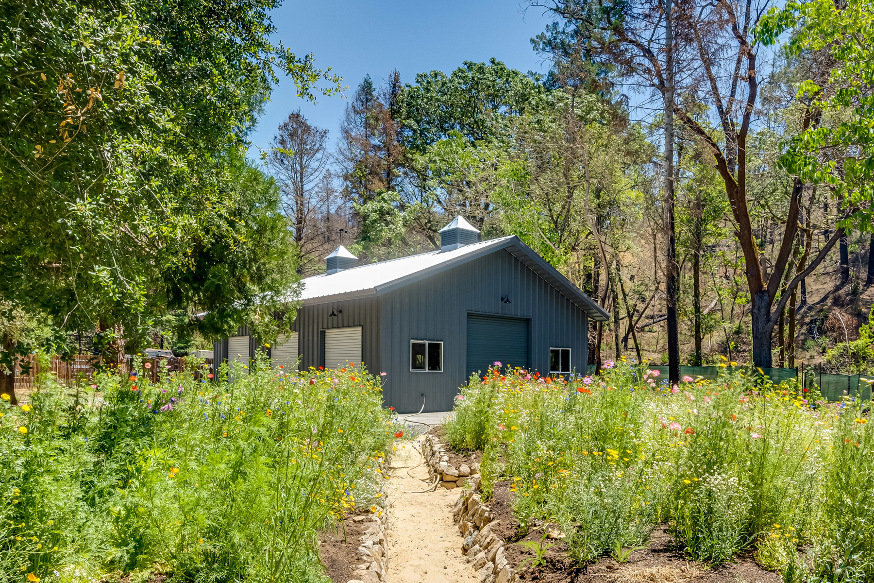 E02 - DSC05830CROPPED