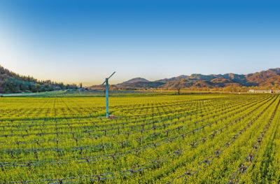01 - DJI_0942-Pano_EDITED3