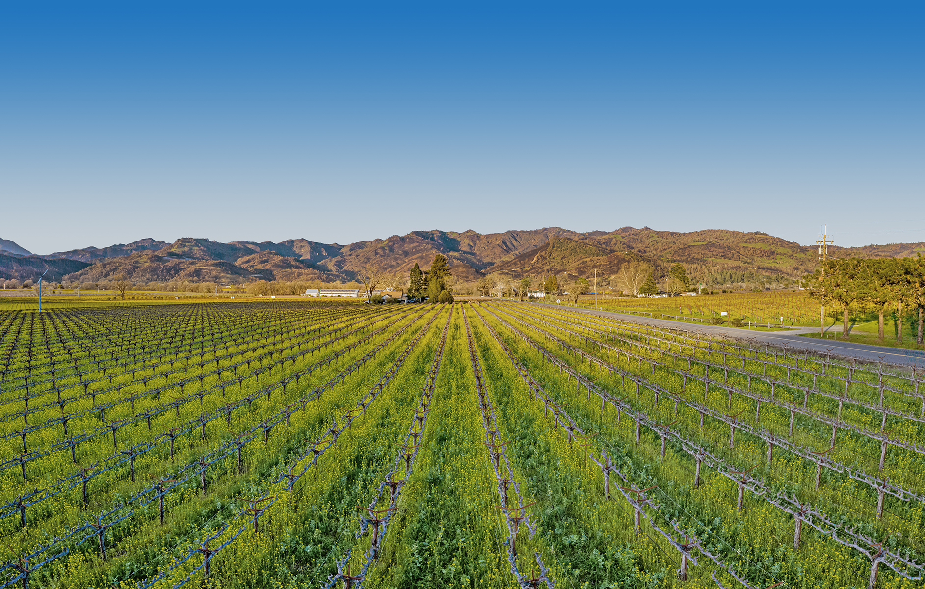 02 - DJI_0902-Pano_EDITED3