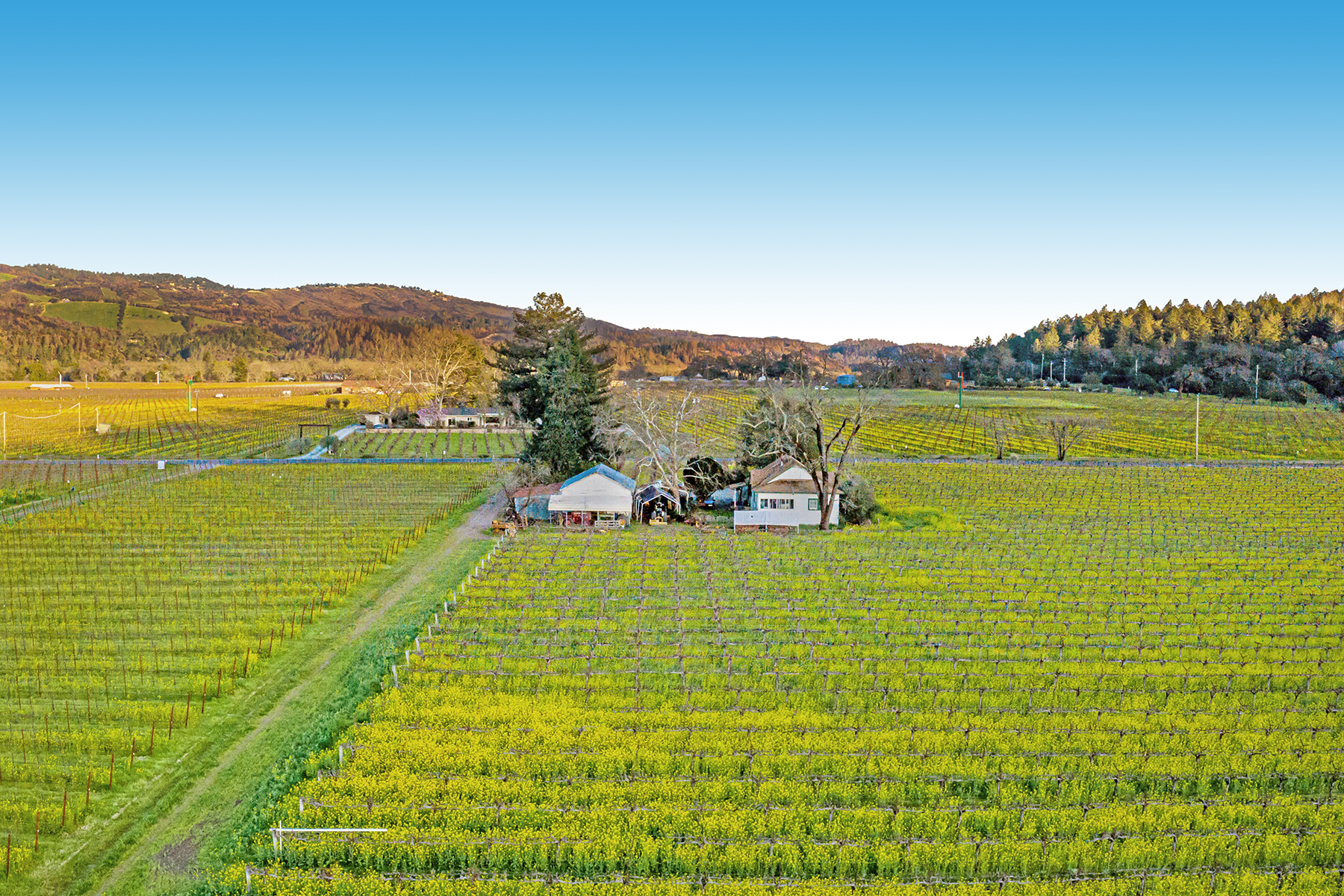 04 - DJI_0940-Pano_EDITED4