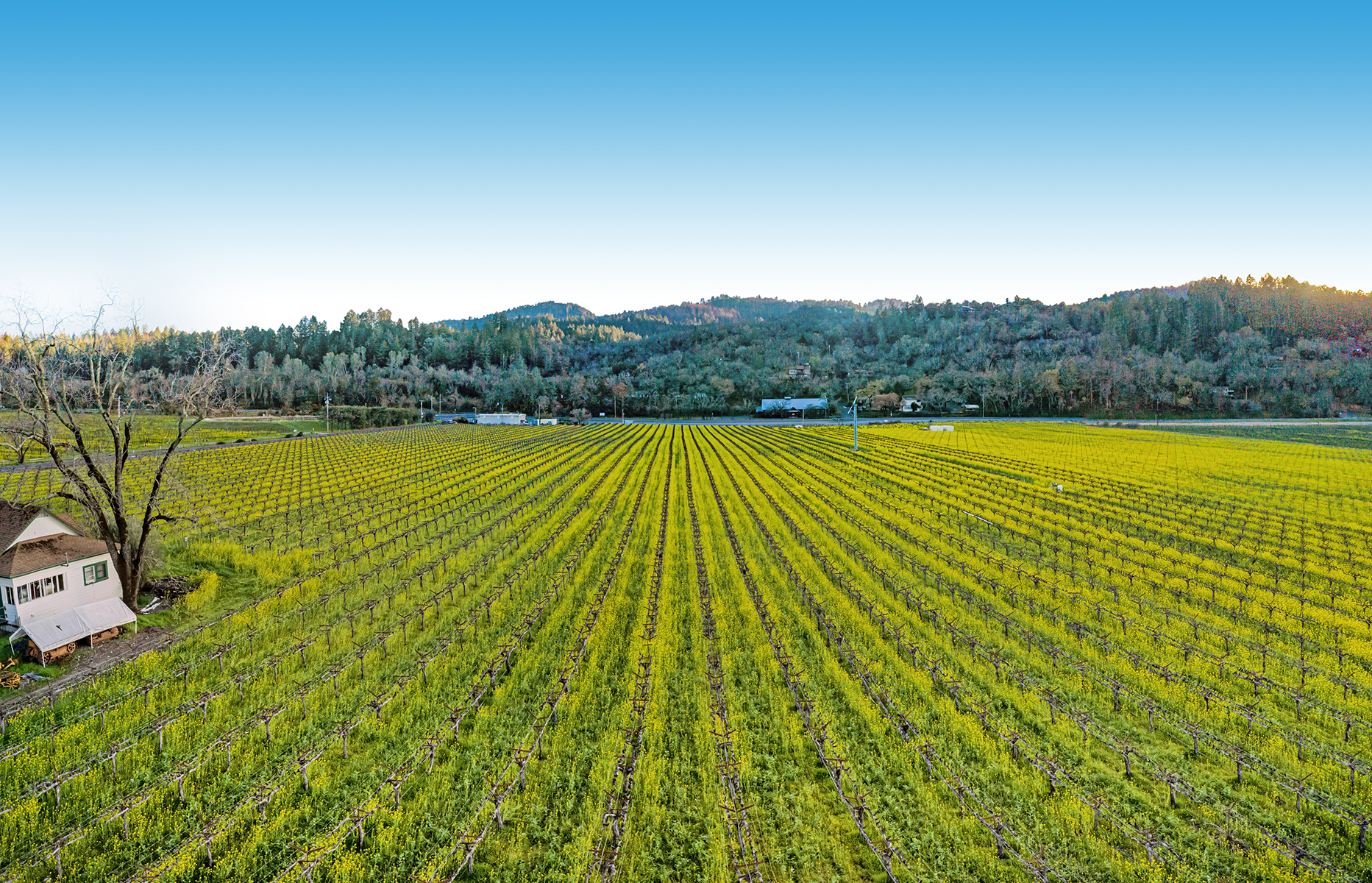 05 - DJI_0931-Pano_EDITED4