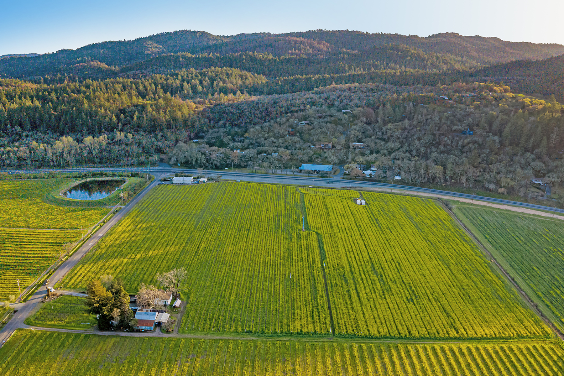 06 - DJI_0915-Pano_EDITED3