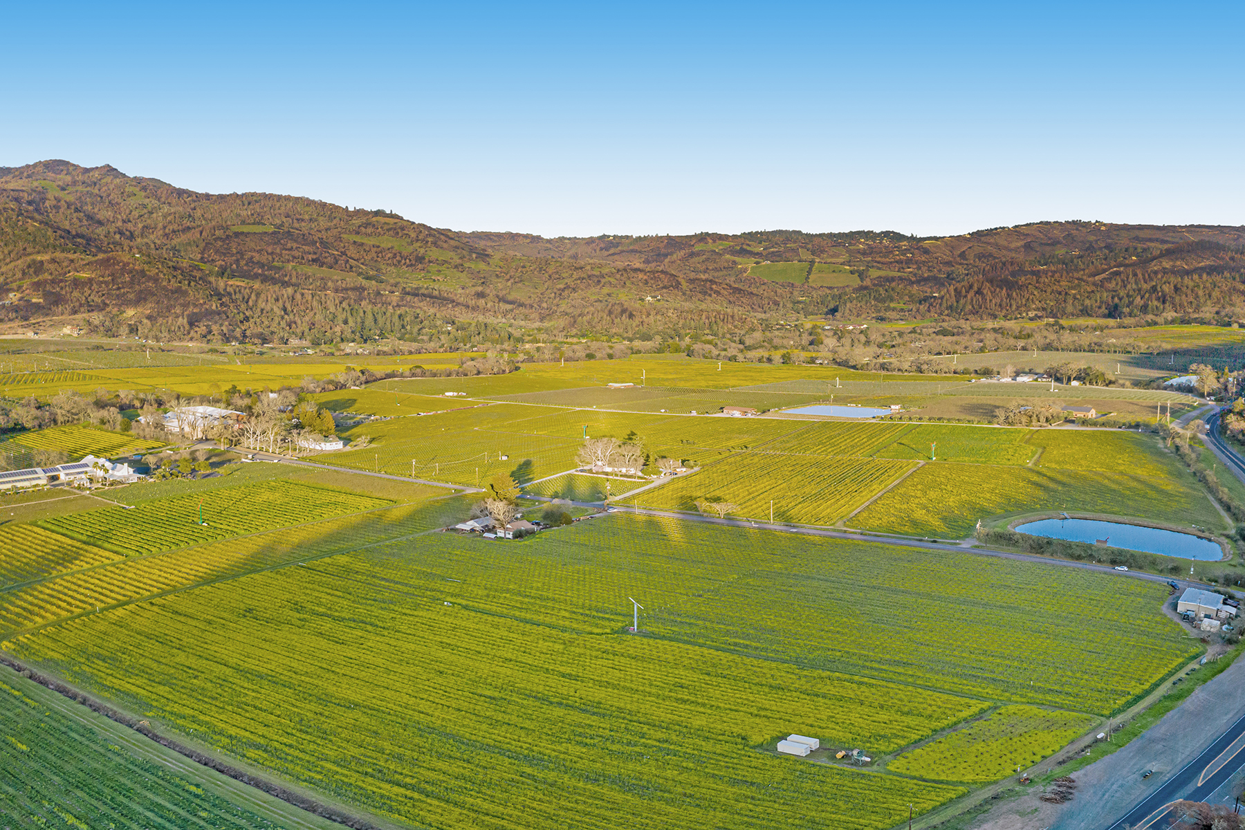 07 - DJI_0921-Pano_EDITED3-Cropped