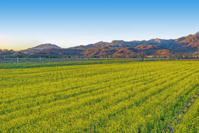 10 - DJI_0978-Pano_EDITED3