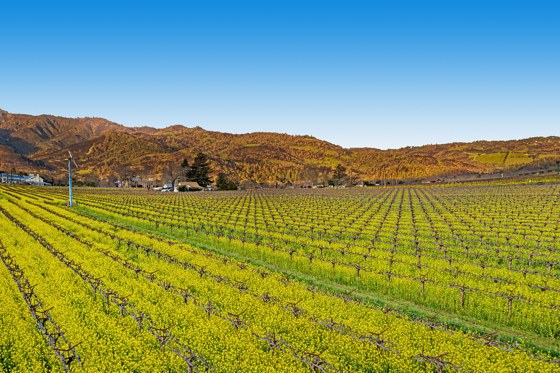 13 - DJI_0976-Pano_EDITED3