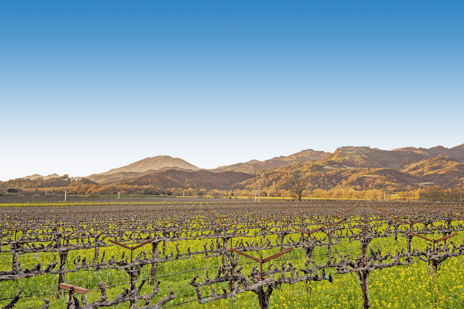 14 - DSC00589_EDITED_Enhancer3