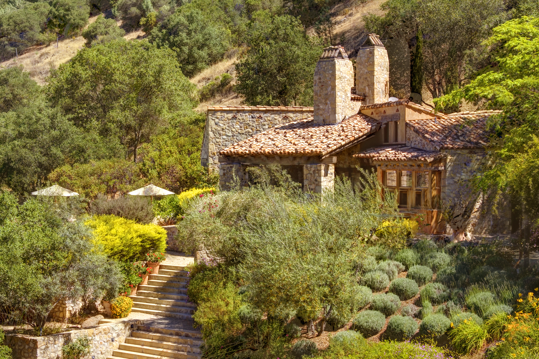 B03 - _MG_3313adjust