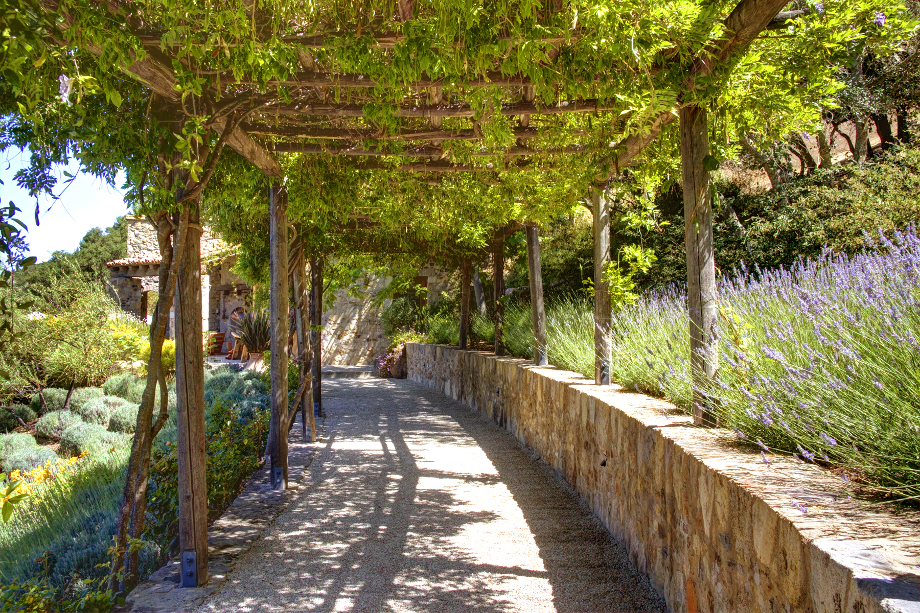 B05 - _MG_3327adjust