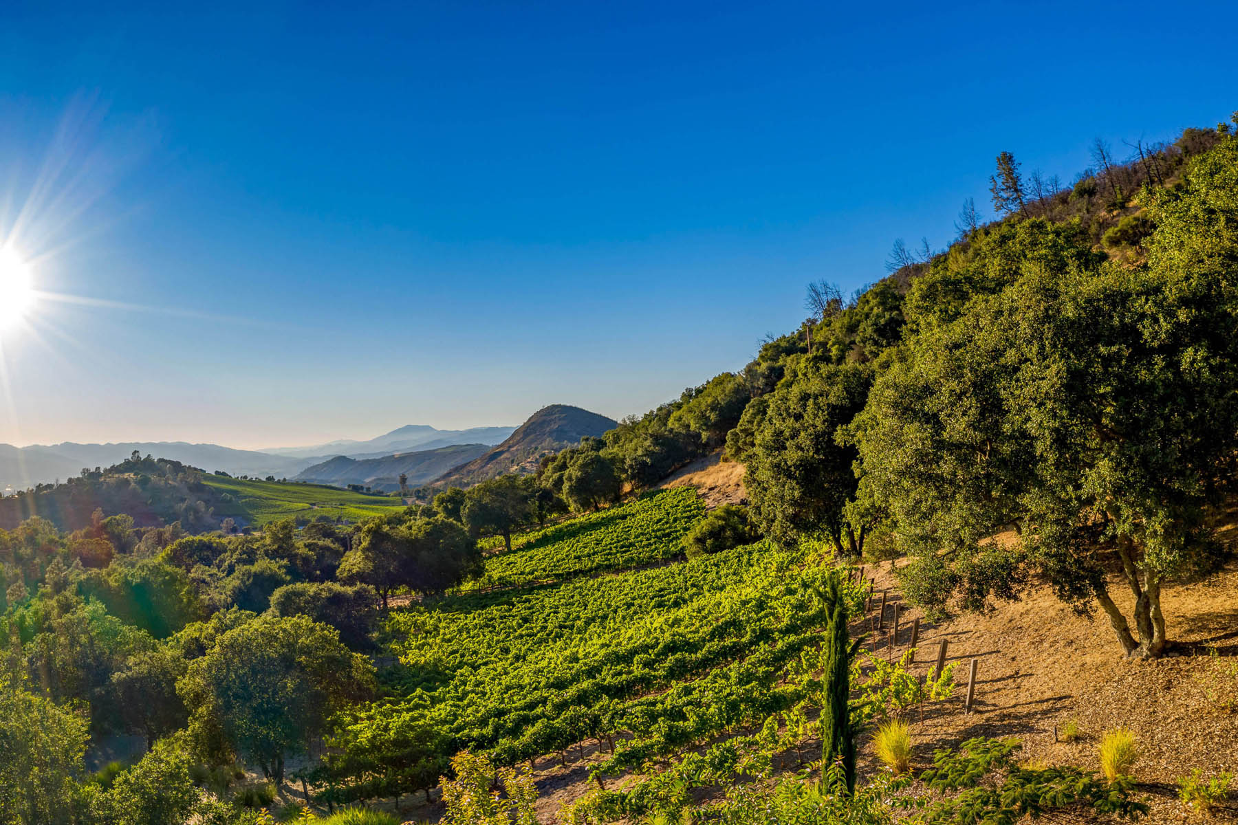 B12 - DJI_0206-PanoCROPPED