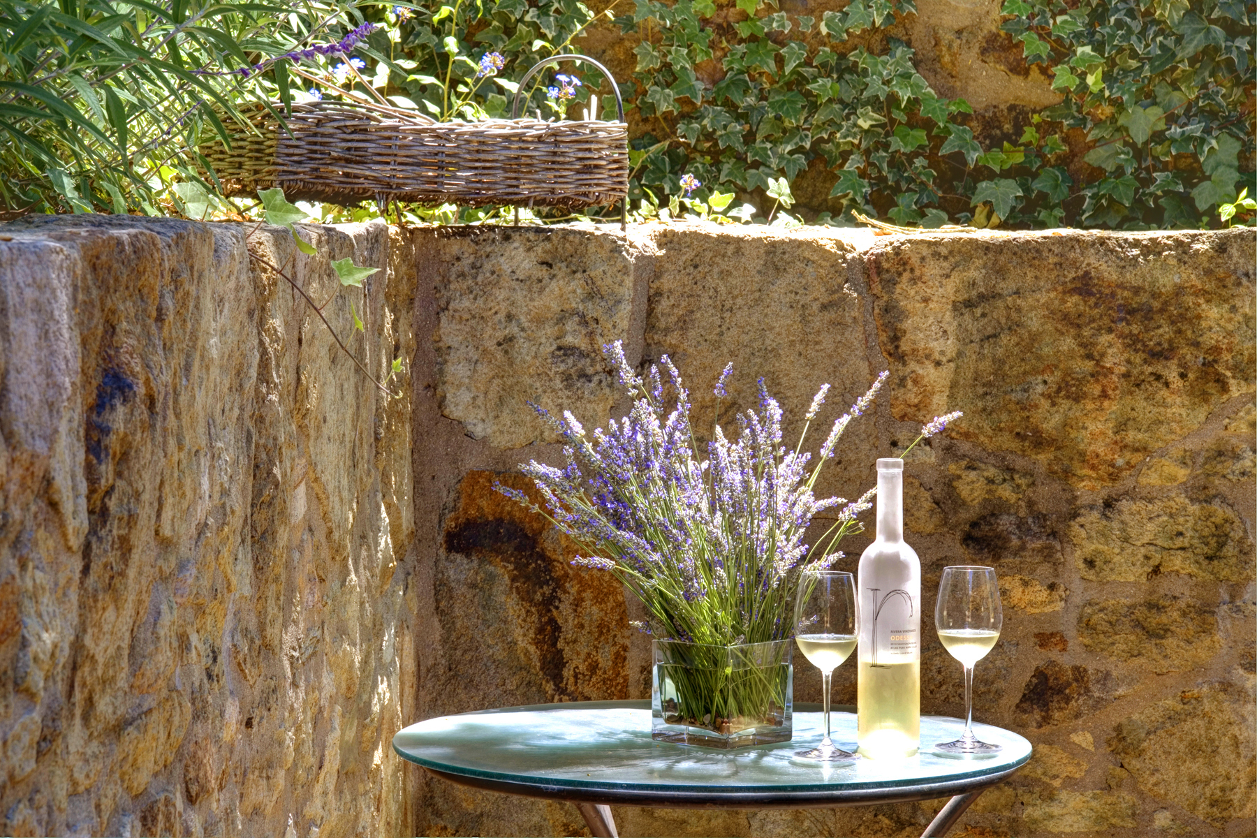 B17 - _MG_3357adjust