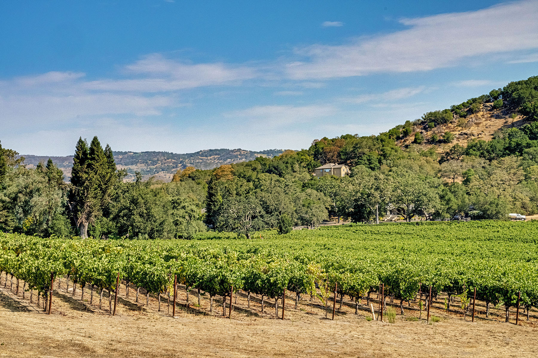 C04 - 07-DSC01037_EDITED