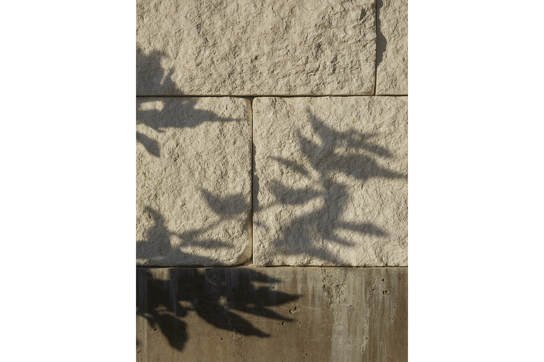 C05 - Napa Valley Residence 35_Cropped