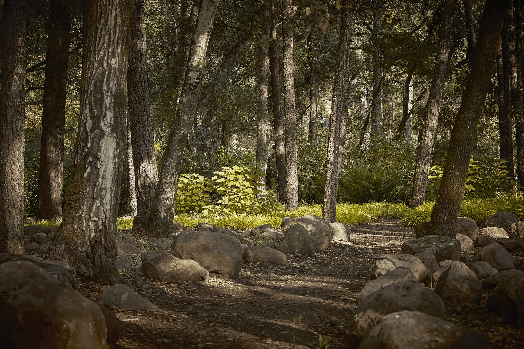 C09 - Karinya_CB_2509