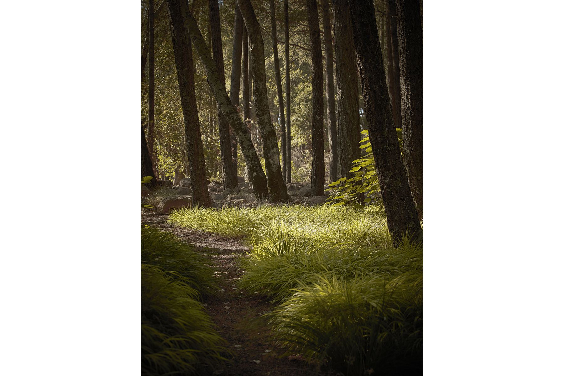 C10 - Karinya_CB_2495_Cropped