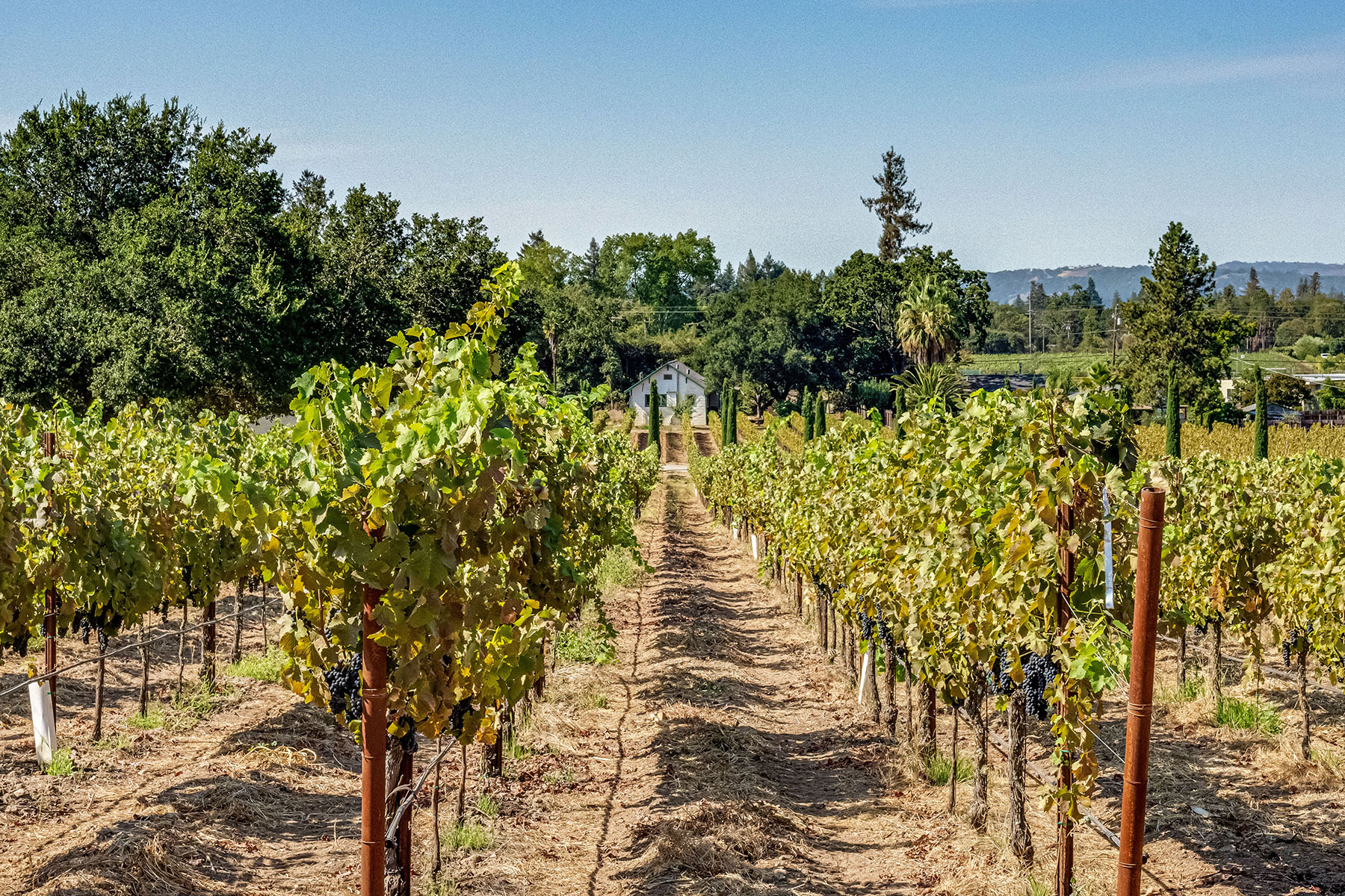 E02 - 15-DSC01061_EDITEDCROPPED