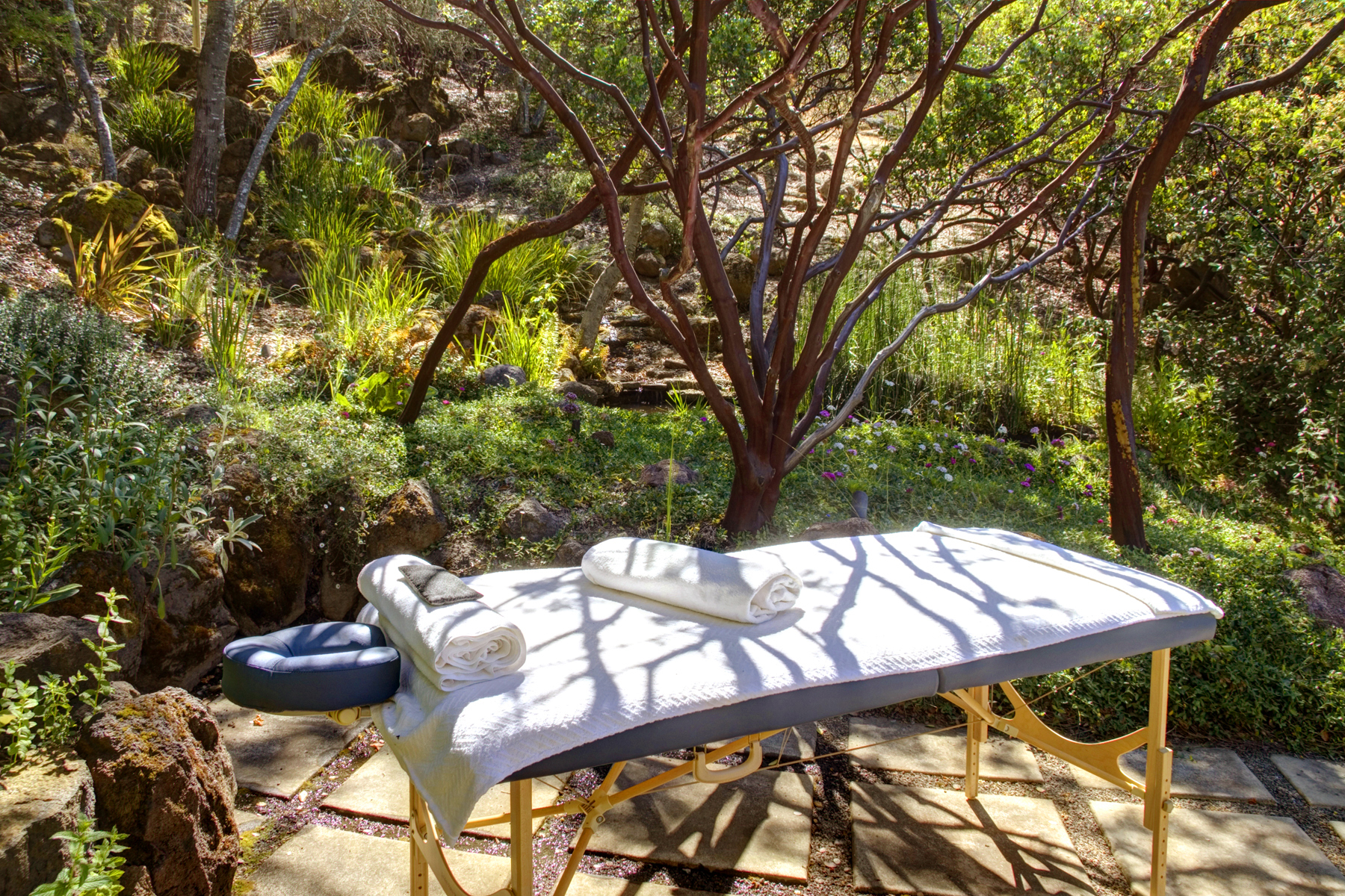 E04 - _MG_3459adjust