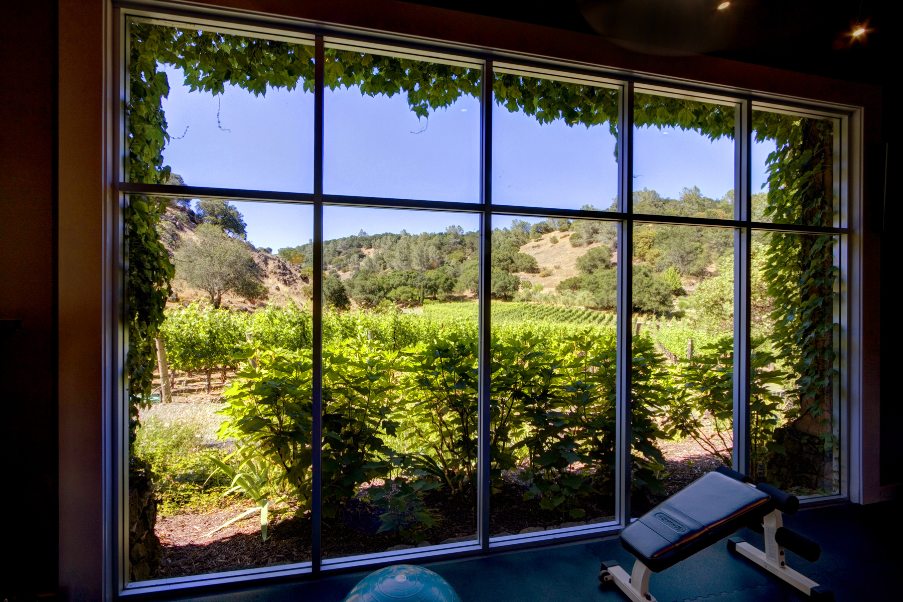 E05 - _MG_3469adjust