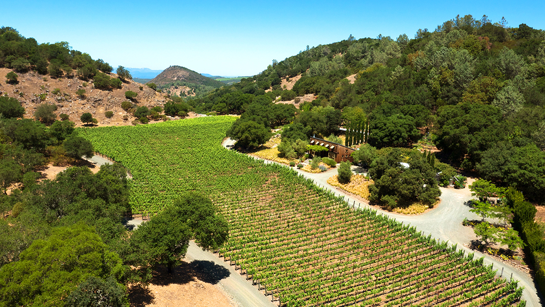 F01 - 15 P1180200 Med Res EDIT