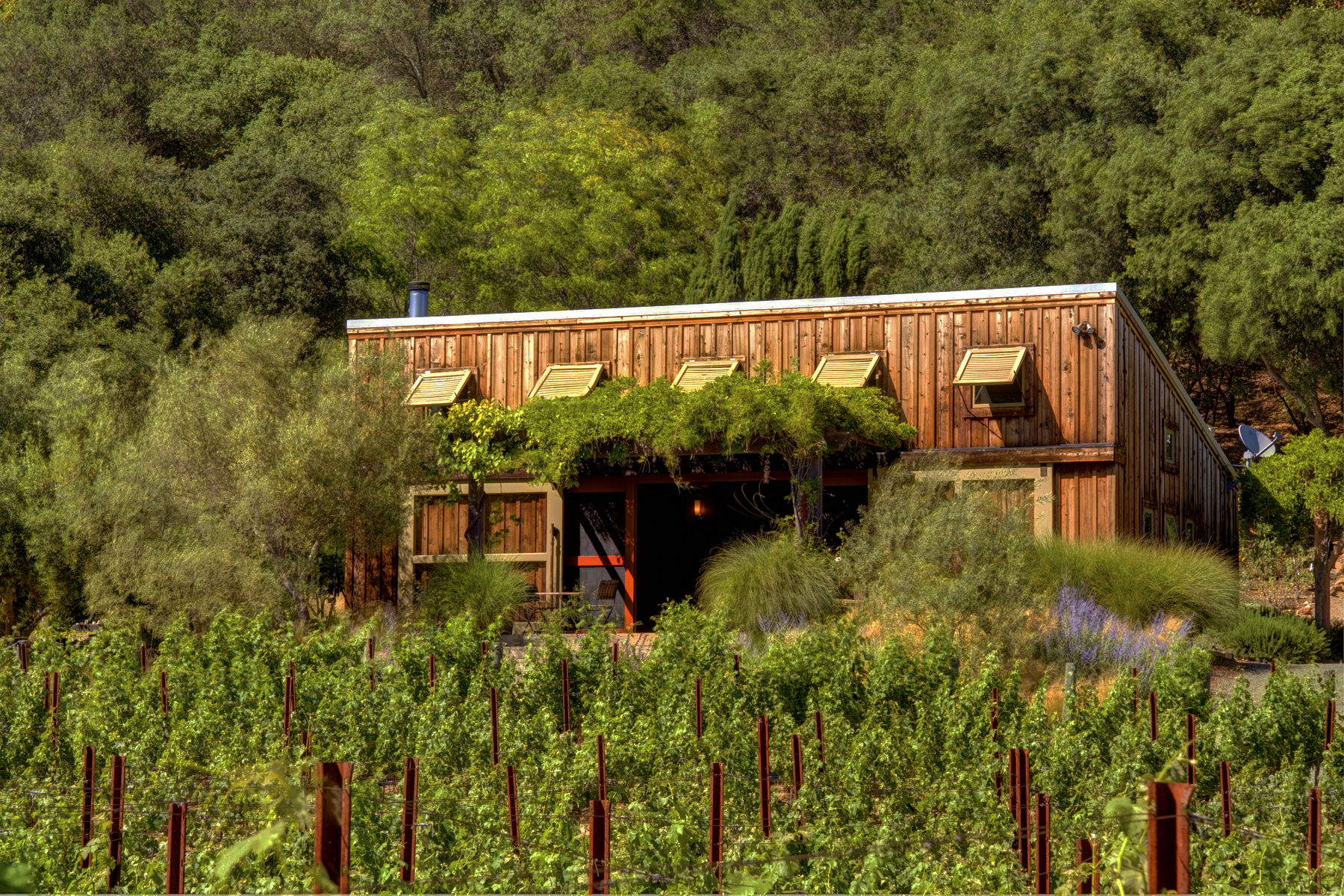 F02 - _MG_3494adjust