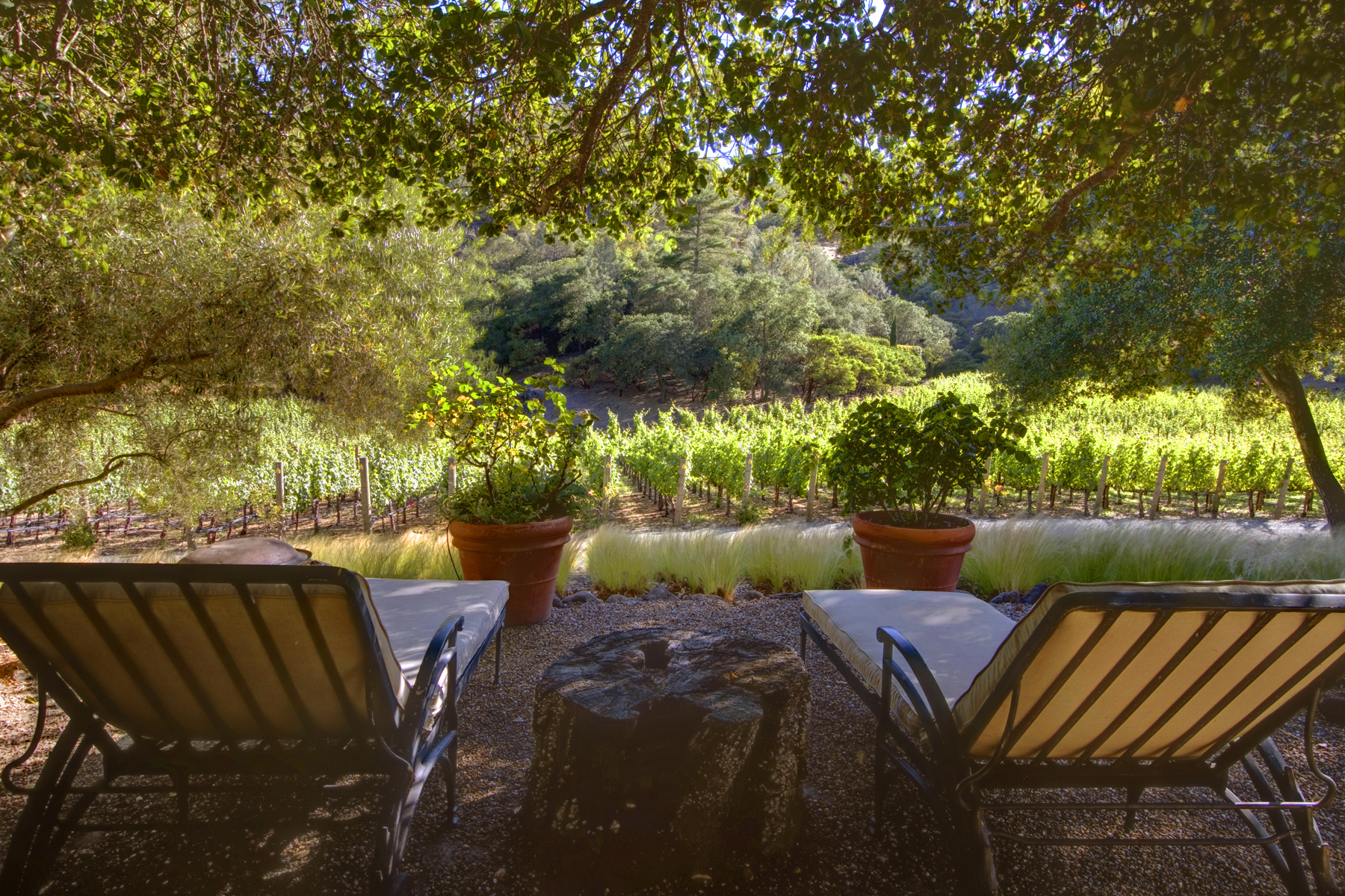 F06 - _MG_3600adjust