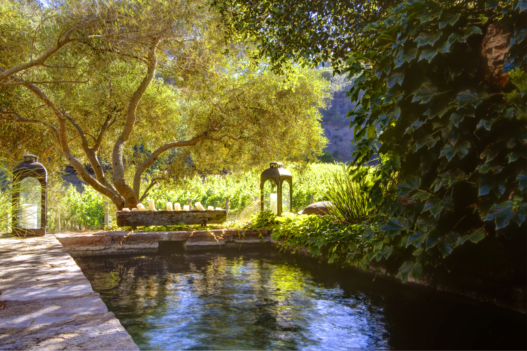 F07 - _MG_3591adjust