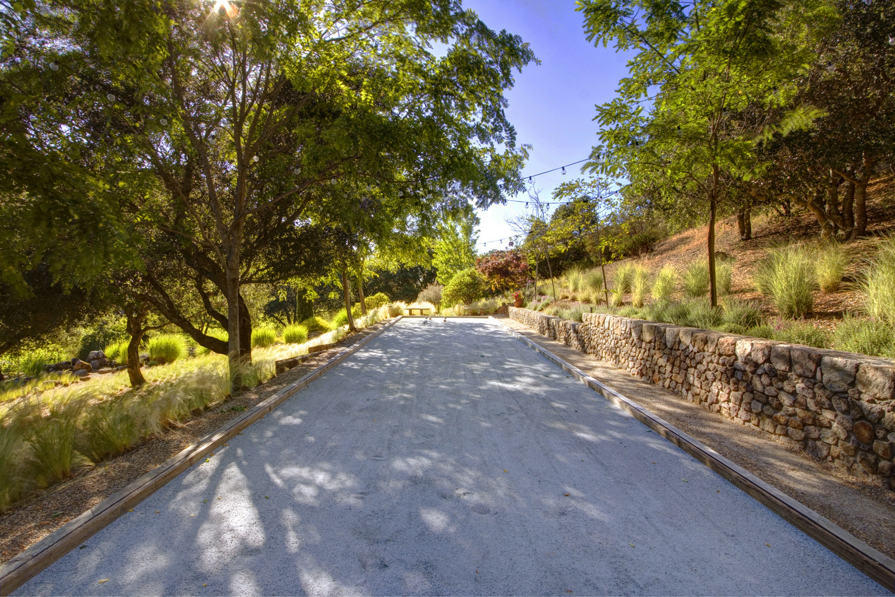 F08 - _MG_3610adjust