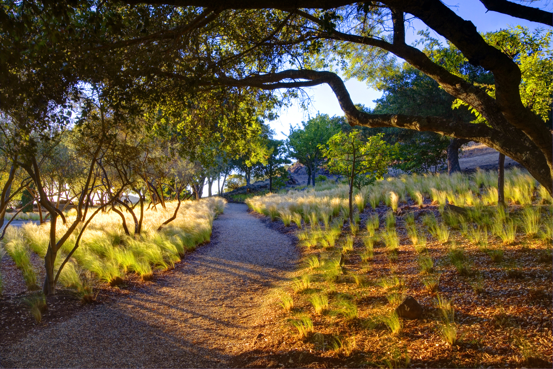 G01 - _MG_3721adjust