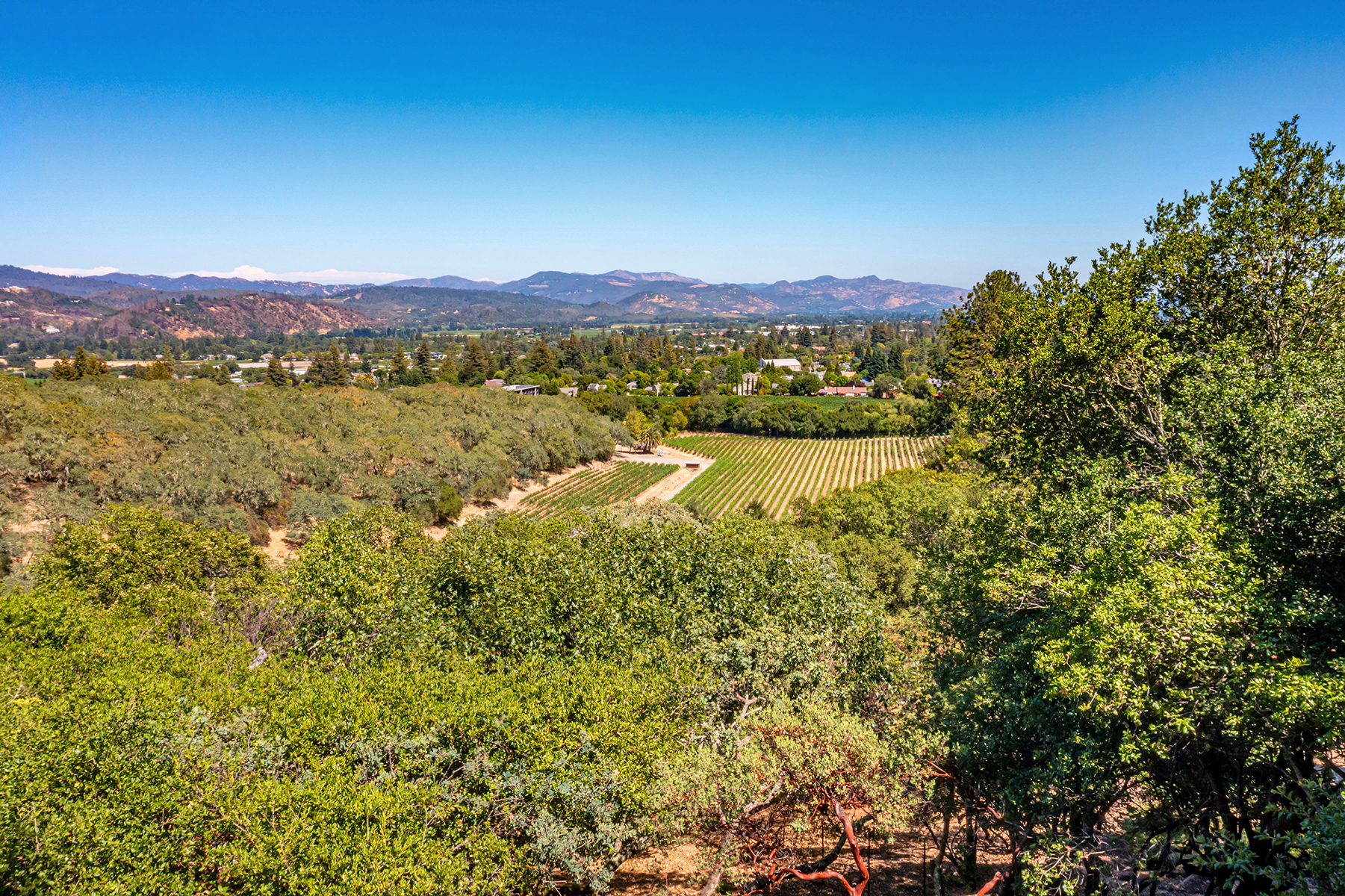 02 - DJI_0737_EDITED2