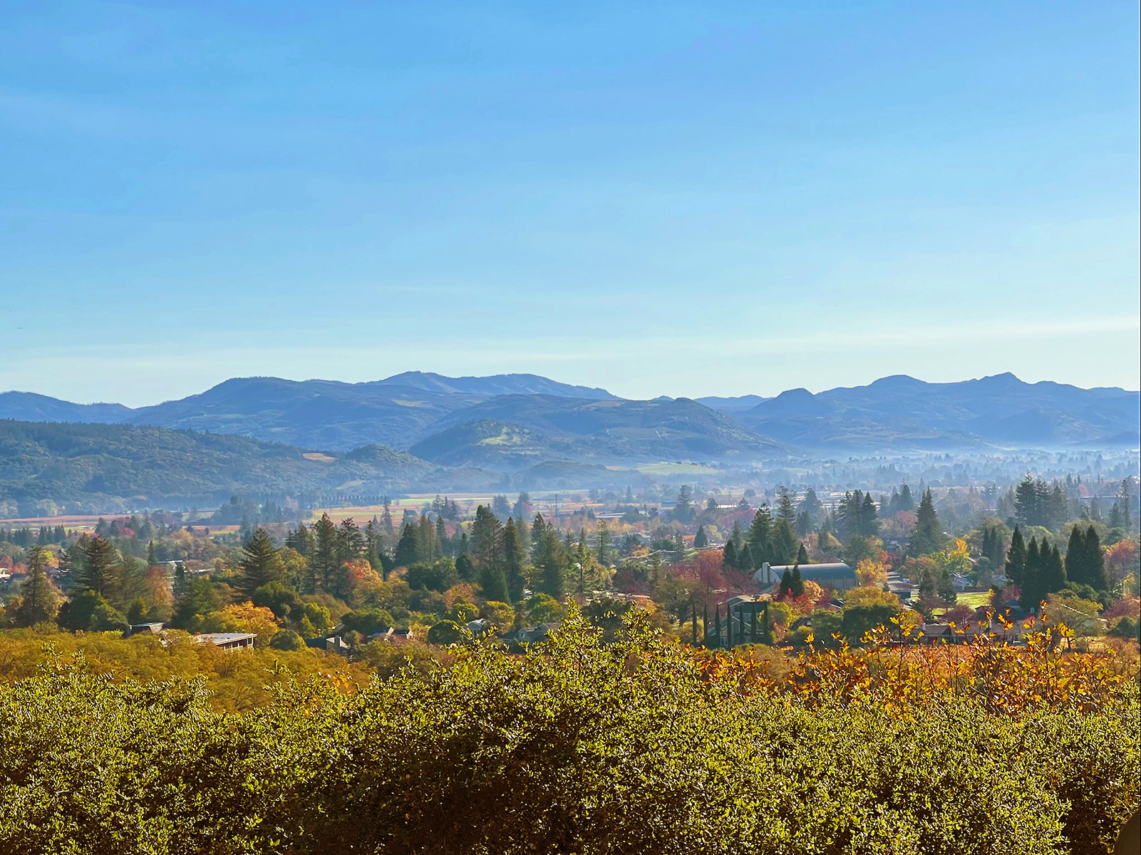 25 - IMG_2834_EDITED3