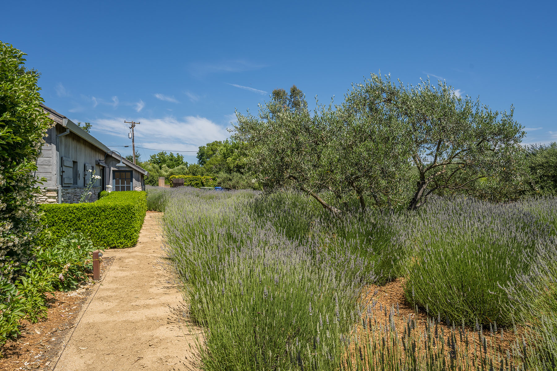 D01 - 1500 S Whitehall Ln-239 HR