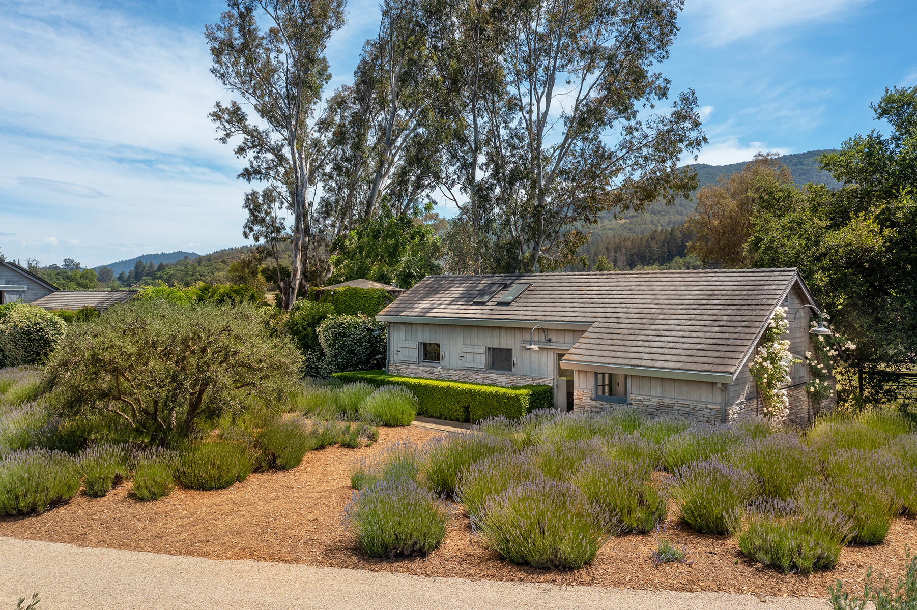 D02 - 1500 S Whitehall Ln-831-HDR HR EDIT