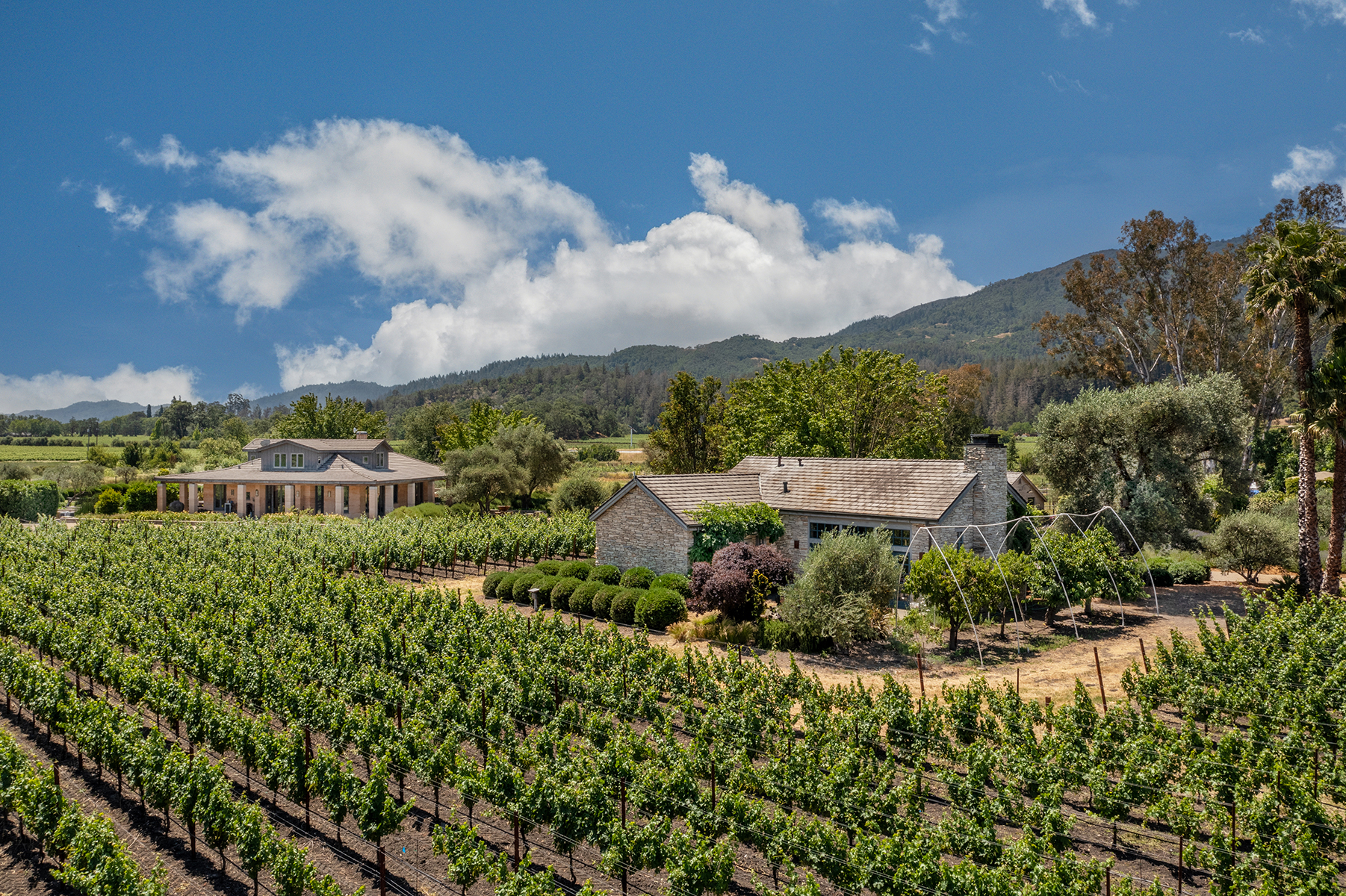 D04 - 1500 S Whitehall Ln-298-HDR-Edit HR EDIT