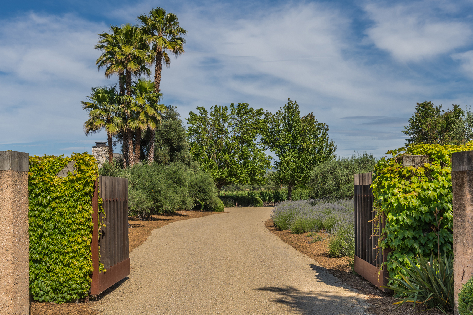 D13 - 1500 S Whitehall Ln-973 HR EDIT1