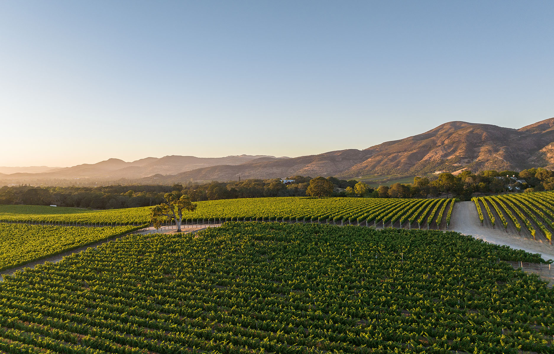 F03 - Meteor House-HR-36