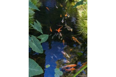 F08 - Meteor House-HR-10_EDITED_Cropped