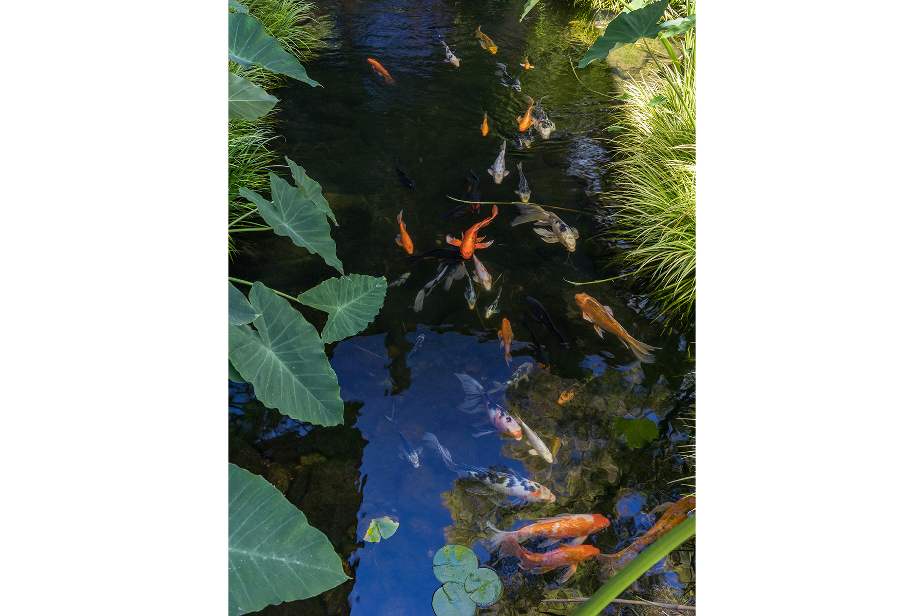 F08 - Meteor House-HR-10_EDITED_Cropped