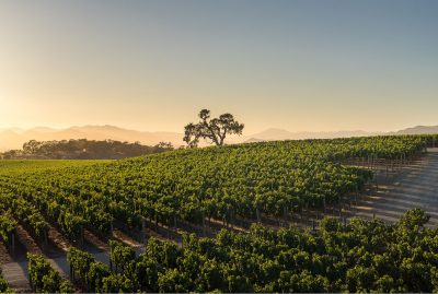 F22 - Meteor House-HR-29