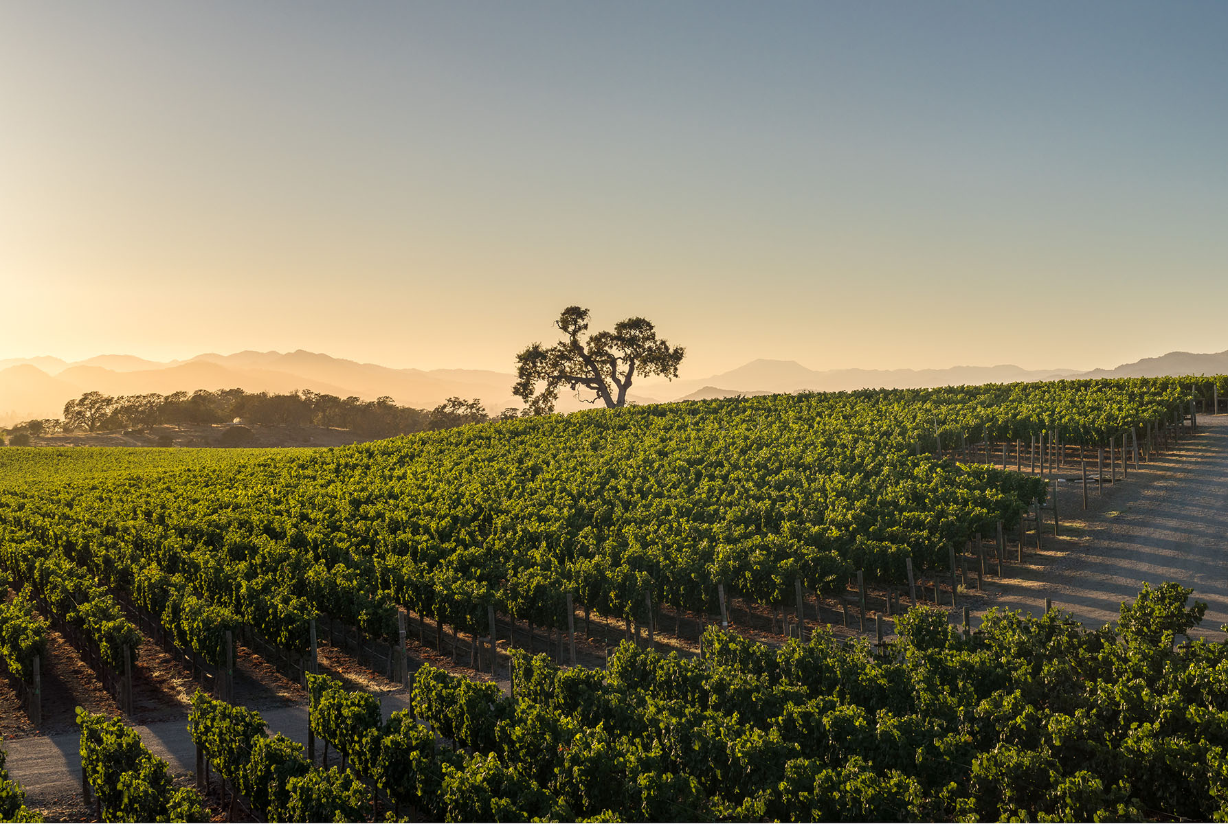 F22 - Meteor House-HR-29